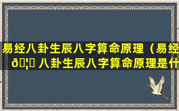 易经八卦生辰八字算命原理（易经 🦊 八卦生辰八字算命原理是什么）